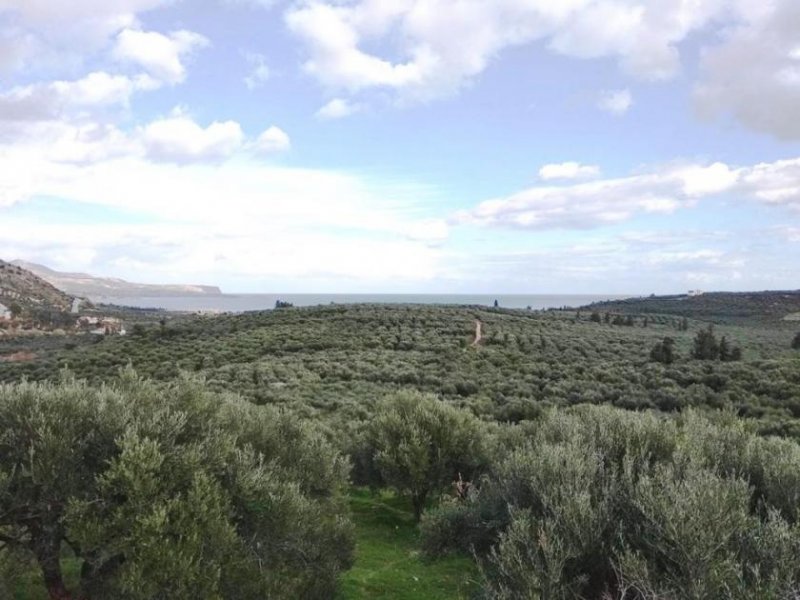 Kalyves Land mit großartigem Meerblick in Apokoronas zum Verkauf Grundstück kaufen